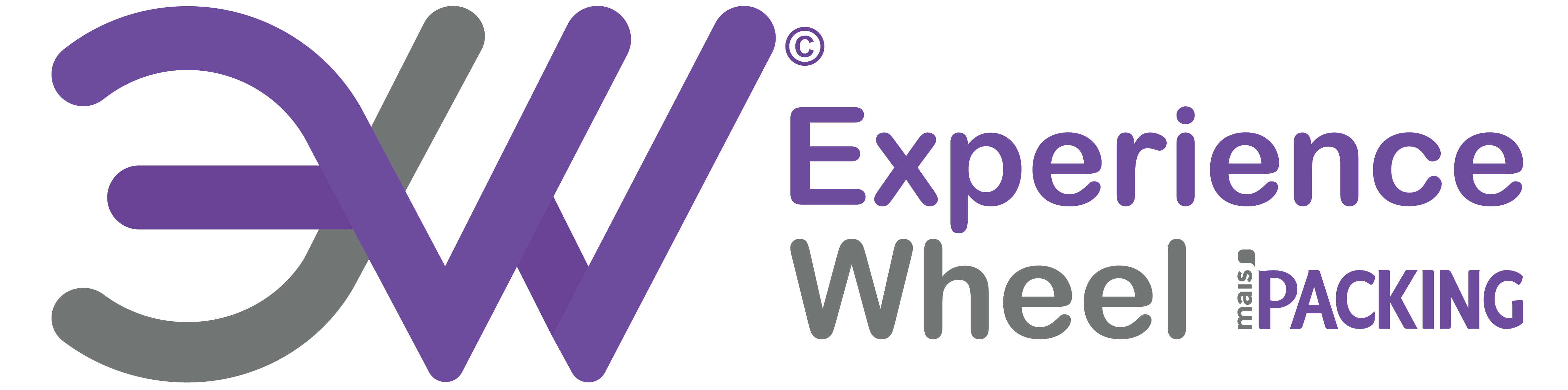 Experience Wheel Logo
